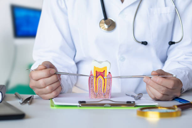 Best Pediatric Emergency Dentist in Anderson, SC